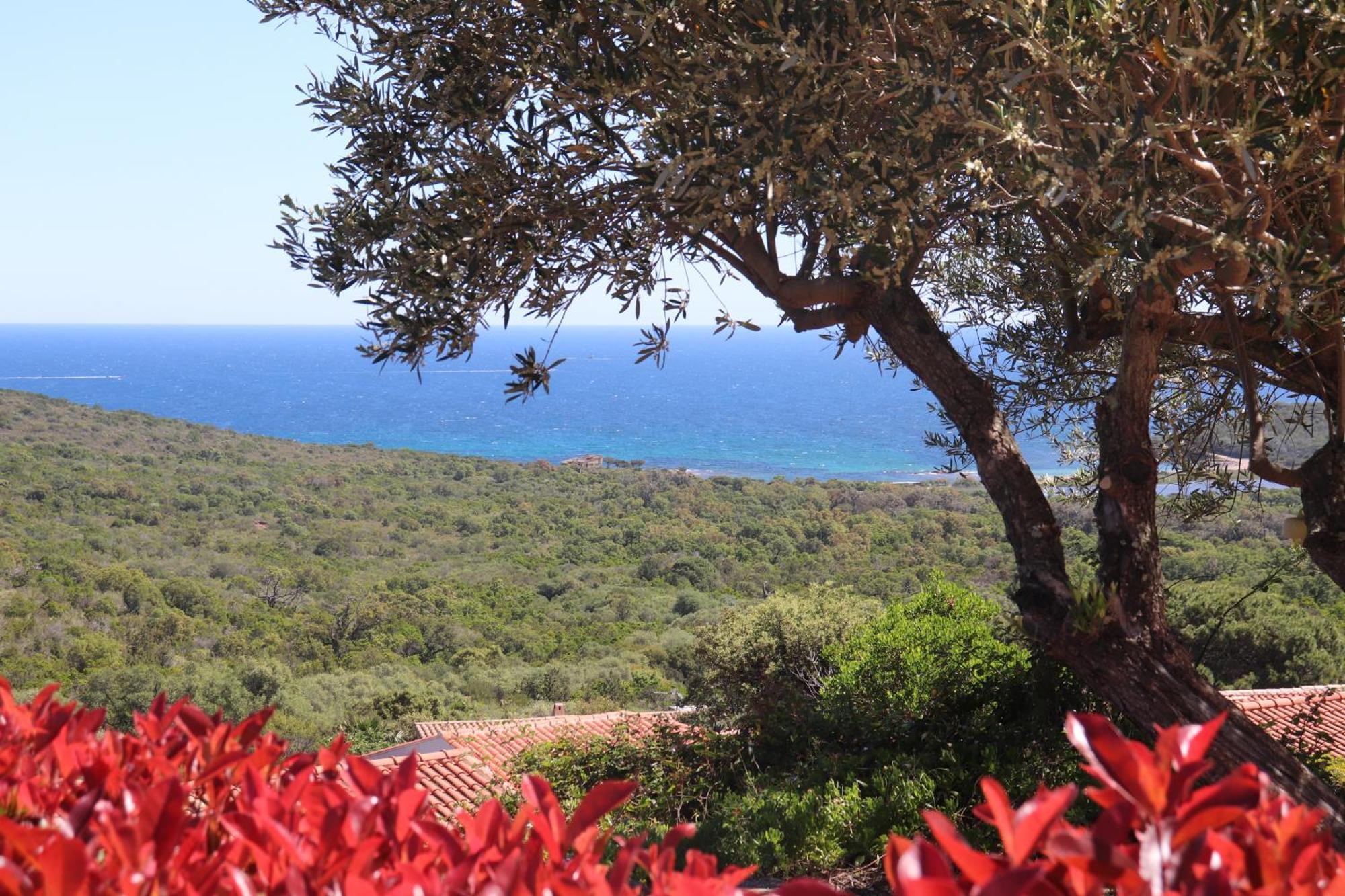 Residence U Pirellu Porto-Vecchio  Exterior photo
